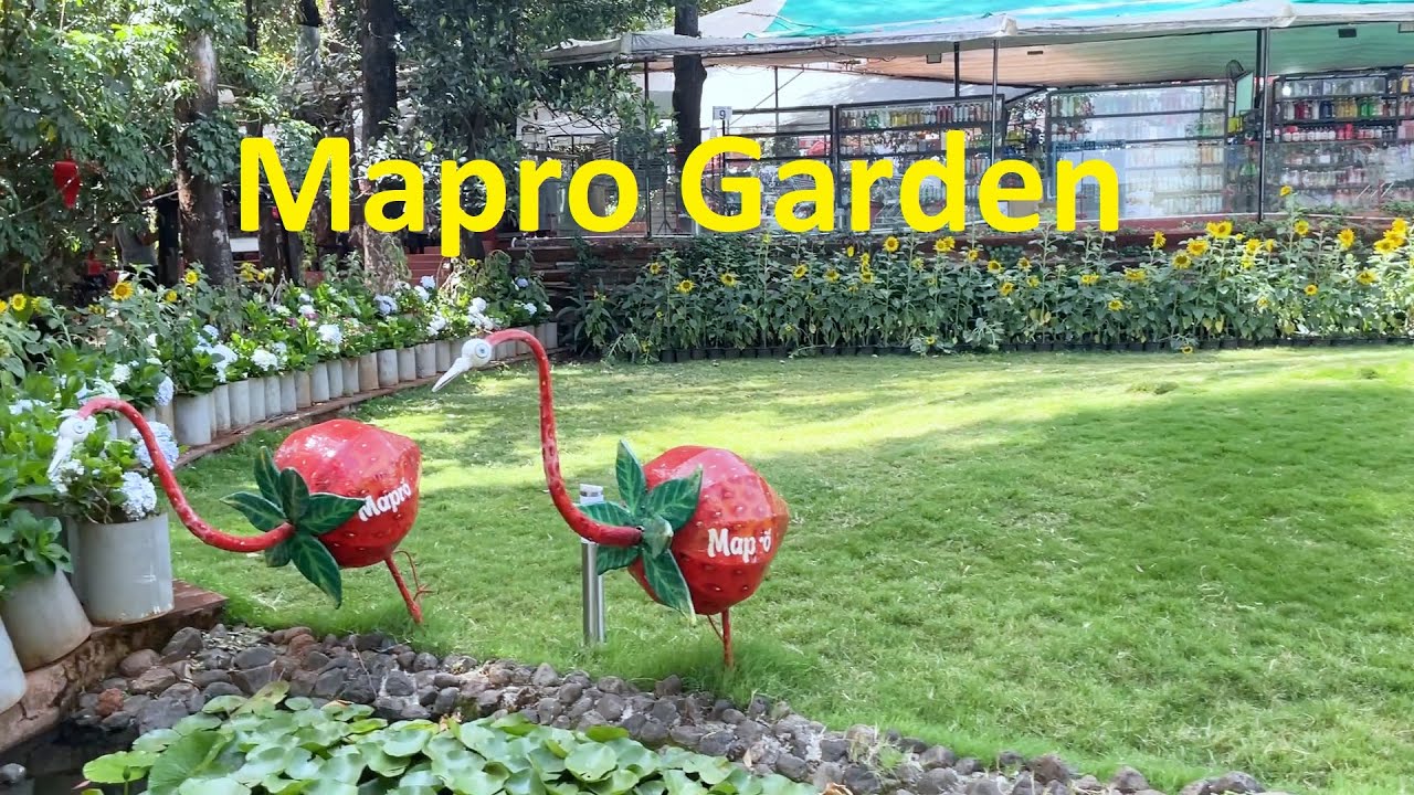 Mapro Garden view